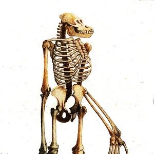 Meet your Posher, Collin